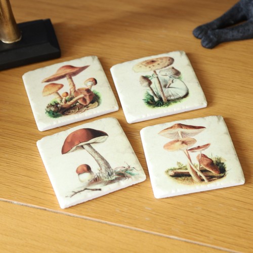 Ceramic mushroom coasters set - mushroom,